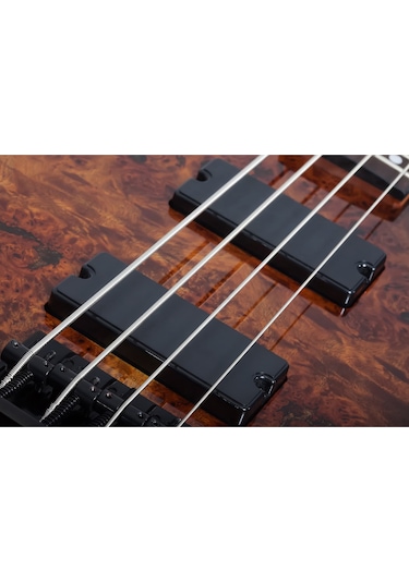 Schecter C-4 Standard Bas Gitar Tobacco Burl