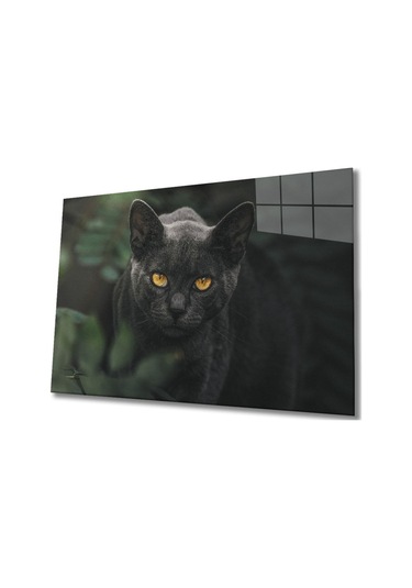 Siyah Kedi Cam Tablo Evlika