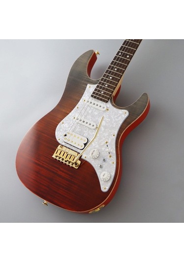 Fujigen Odyssey Elektro Gitar Eos2fmr/rkg