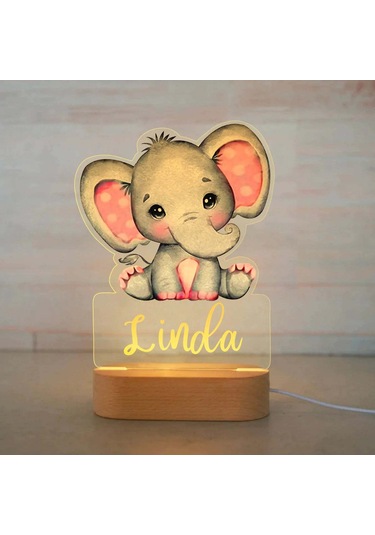 Kişiye Özel Çocuklar İçin Hayvan Gece Lambası İsimli Akrilik Lamba 2 Çok Renkli