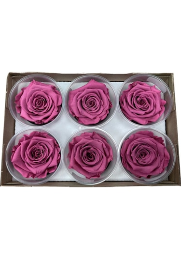 Rose Amor VİO-02 MENEKŞE RENGİ şoklanmış solmaz gül XL