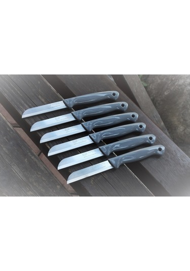 Solingen Delikli-Ttl Tırtıklı Meyve-Sebze Bıçağı 1.Kalite 12 Adet Gümüş