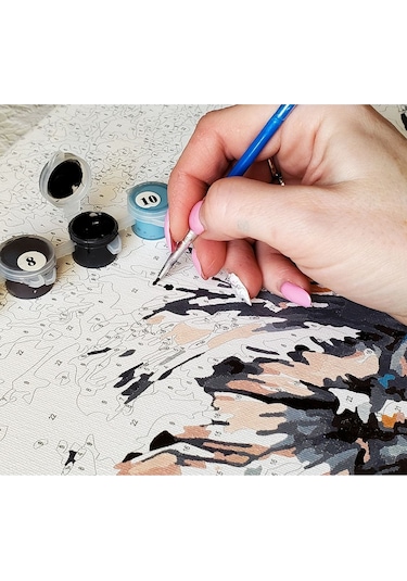 Sayılarla Boyama Seti Deniz Evler