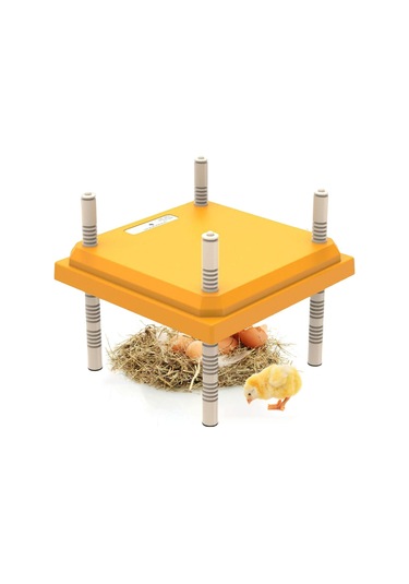 Suntek Civciv Brooder Isıtıcı Sıcak Kalmak Ayarlanabilir