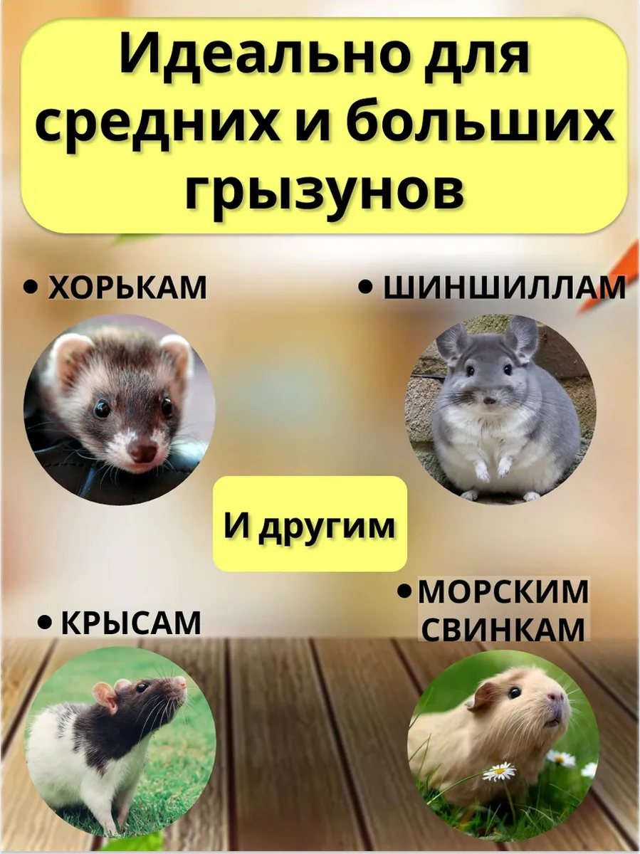 Petipet 2 Katlı Çiftli Kemirgen Fare Hamak 377482861