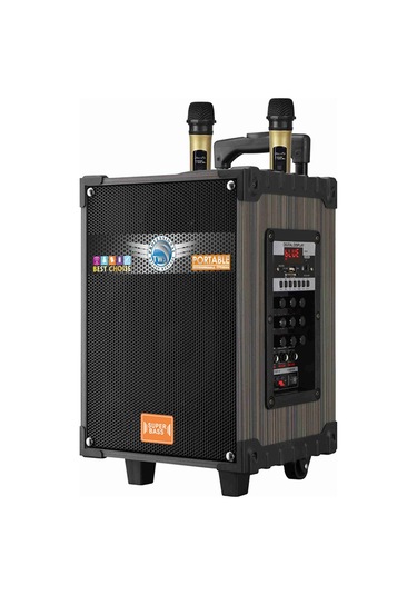 Lt-912 Dijital Led Göstergeli Fm Radyolu Mikrofonlu Gitar Girişli Tws 12 İnç Stereo Bass Kablosuz Karaoke Hoparlör