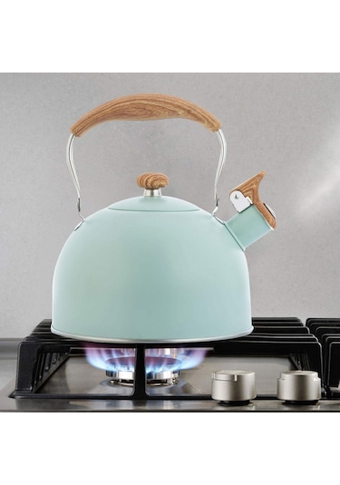 Düdüklü Su Isıtıcısı, 2,5 L Düdüklü Su Isıtıcısı, Gazlı Ocak İndüksiyonlu Ocak Paslanmaz Çelik Su Isıtıcısı 01 Diğer