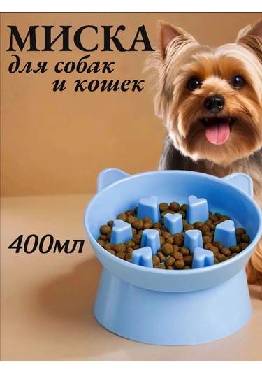 Vektorı Kedi Kabı 391740897