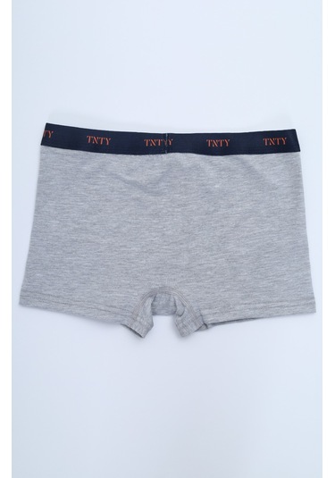 Toontoy Erkek Çocuk Çizgili Desenli Baskılı 4lü Paket Boxer Çok Renkli