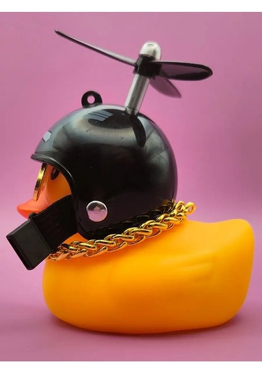 Market Alls Aracın İçinde Kasklı Ve Gözlükleri Olan Ördek 124655843