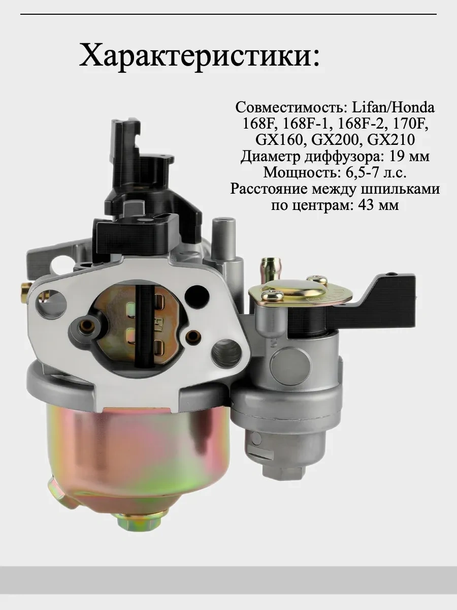 Gamingo Motobloklar, Motorlu Pompalar İçin Karbüratör, 168f 74520111