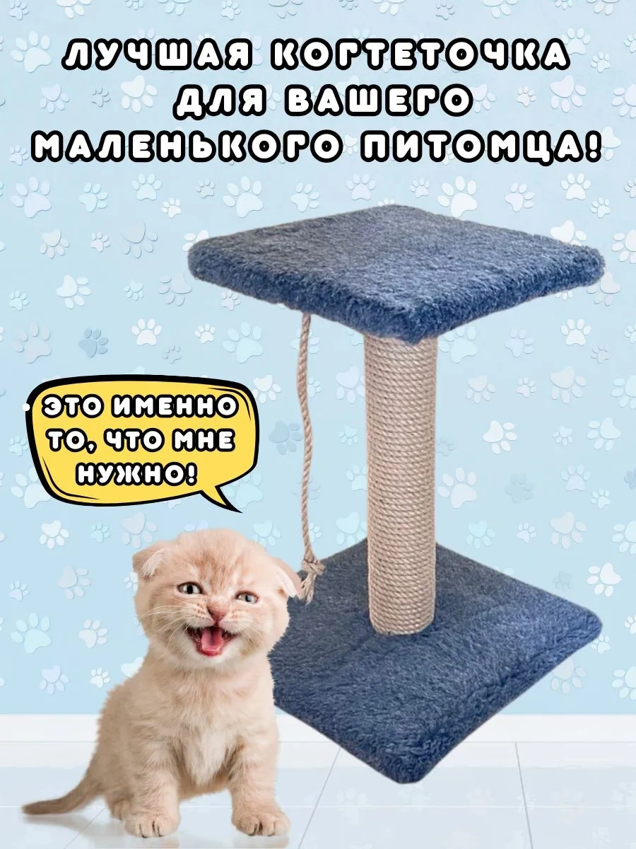 Mr Cat Yavru Kediler İçin Tırmalama Direği 343531754