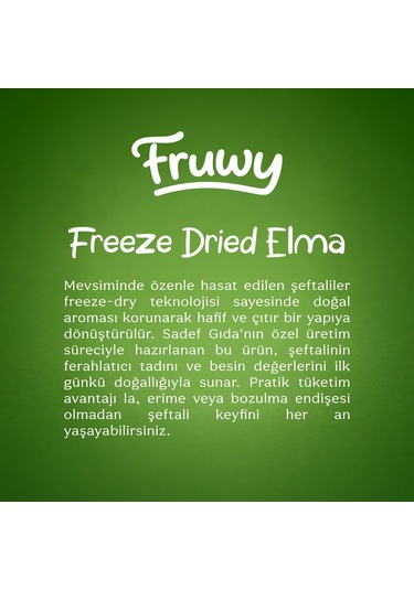 Freeze Dried Elma Diğer