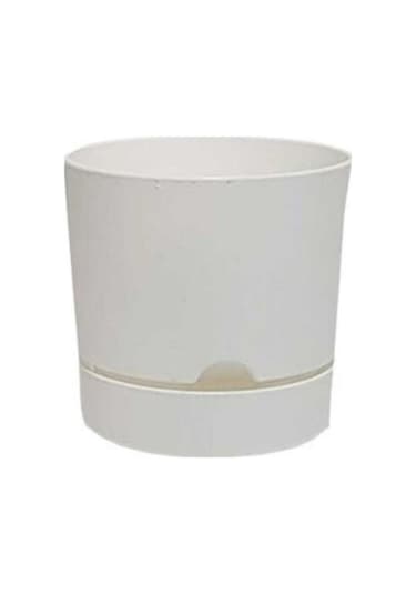 Polıwork Saksı Begonya 25 Cm Beyaz