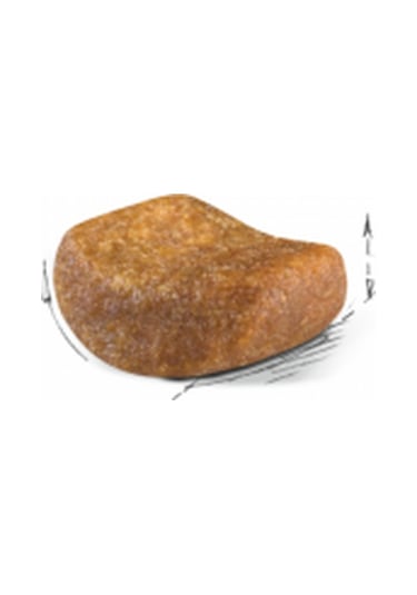 British Shorthair Yetişkin Kedi Maması 2 Kg 2 Adet Pouch Hediyeli