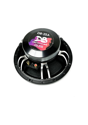 Defacbass Db-25a 25 Cm Midrange Yüksek Performans