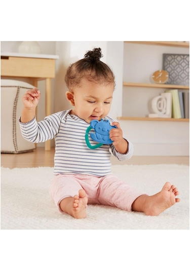 Fisher Price Sevimli Hayvancıklar Dişlikler-Gyn23-Gyn26 Çok Renkli