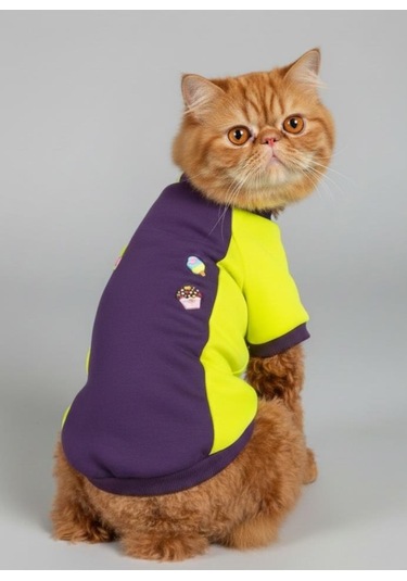 Dondurmalı Patiler Mor Ve Fosforlu Sarı Kedi Polar Sweatshirt
