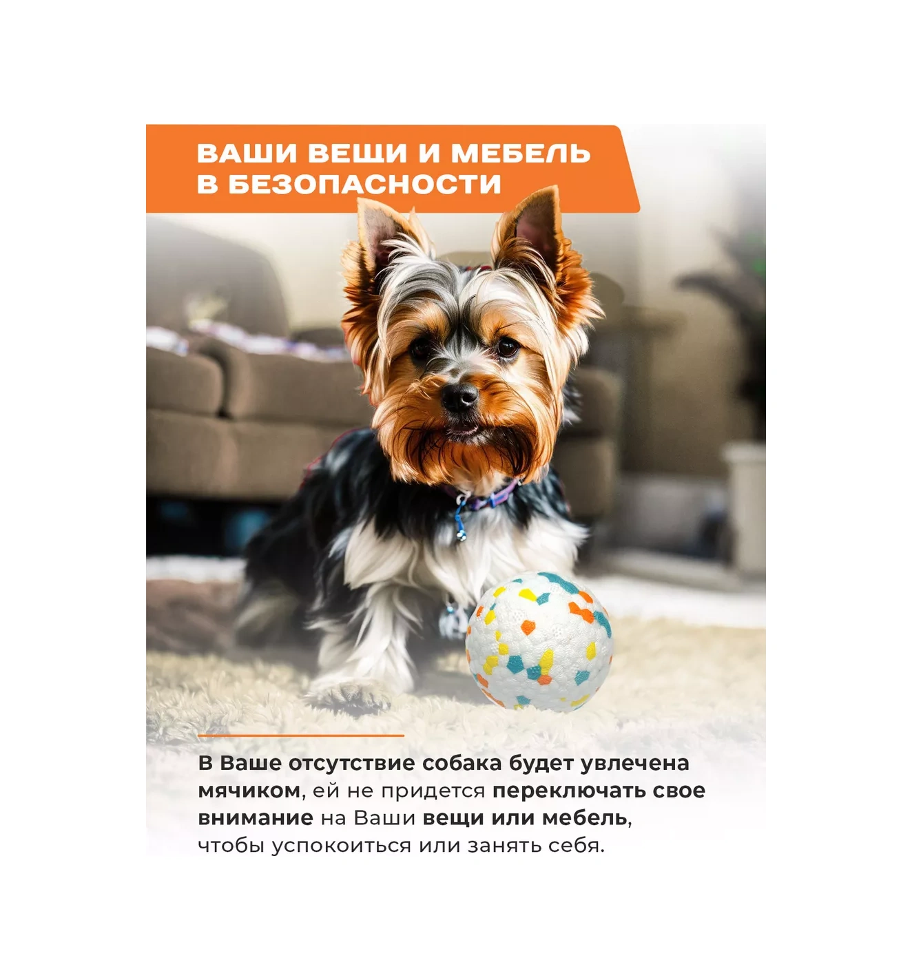 Purrfect Place Köpekler İçin Oyuncak, Süper Dayanımlı Top 201066162