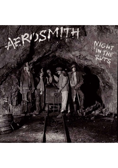 Aerosmith - Night In The Ruts Remastered / Plak