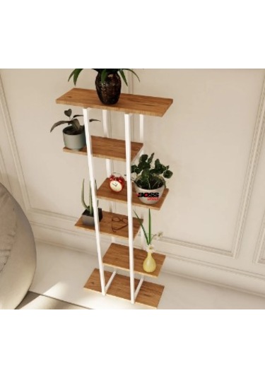 Titan Çiçeklik Beyaz Ve Atlantik Çam