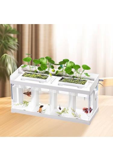 Magideal Suntek Balık Kase Bölünmüş Kuluçka Akvaryum Tankı Bahçe