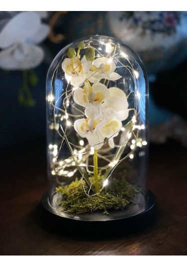 Faunus İçerisinde Işıklı Yapay Beyaz Orkide Anneler Günü Özel Hed