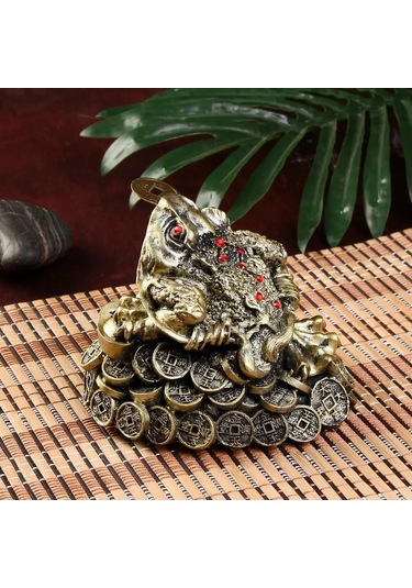 Simalend Para Kertenkeleleri 177163897