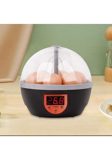 Suntek Kaz Bıldırcın Tavuk Için Yumurta Kuluçka Ev