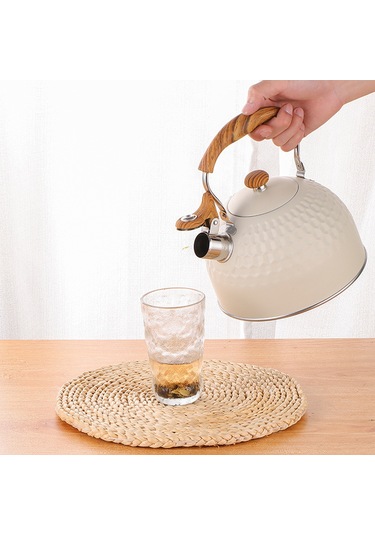 Paslanmaz Çelik Çaydanlık, Yüksek Sesli Düdük, Isıya Dayanıklı Sap, Eşit Şekilde Isıtılmış Taban, Güzel Ve Dayanıklı Yapı, Sıcaklığa Dayanıklı Sap Diğer