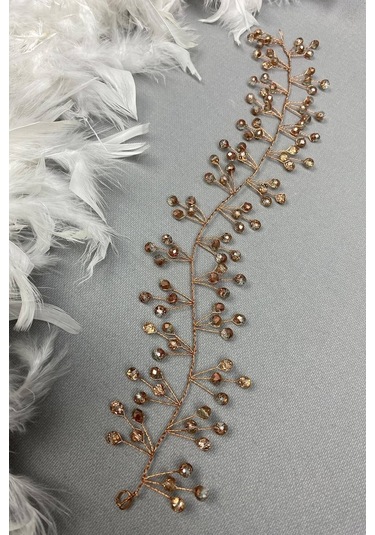 FdayAksesuar Kadın Rose Rengi Sia Model Saç Aksesuarı FRDY31310