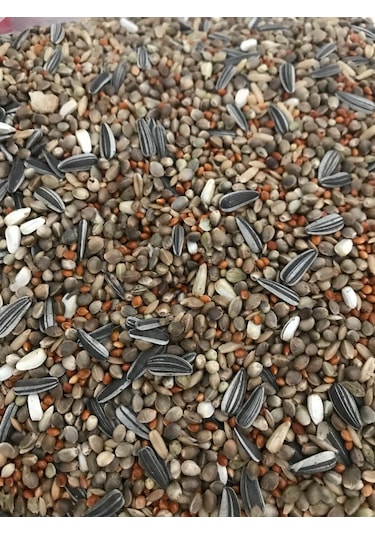 Forpus Papağani Yemi Özel Karişim Zengin İçerik 1 KG