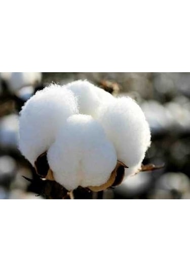 Babaanne Yorganı, El Yapımı Bebek Pamuklu Yorgan 95X145)