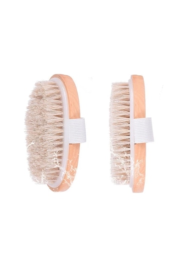 Parlak Ve Pürüzsüz Görünüm Sağlayan %100 Doğal At Kılı Selülit Fırçası Oval Diğer Çok Renkli