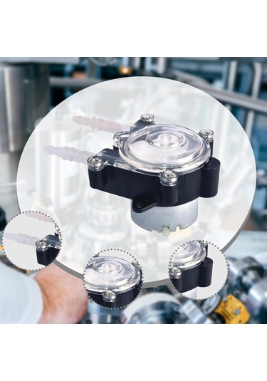 Suntek Laboratuvar Su Dıy İnce Sulama Için Dc Dozaj