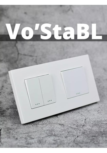 Vo'stabl Çift Kutulu Çerçevede Tek Ve Çiftli İki Anahtar 239528736