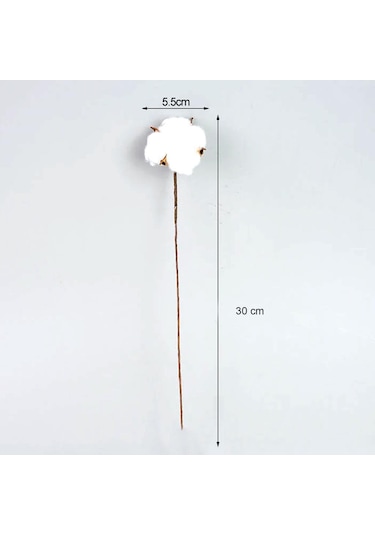 Doğal Pamuk Çiçeği Tekli Dal Kuru Yapay Çiçek 30 CM 10 'lu