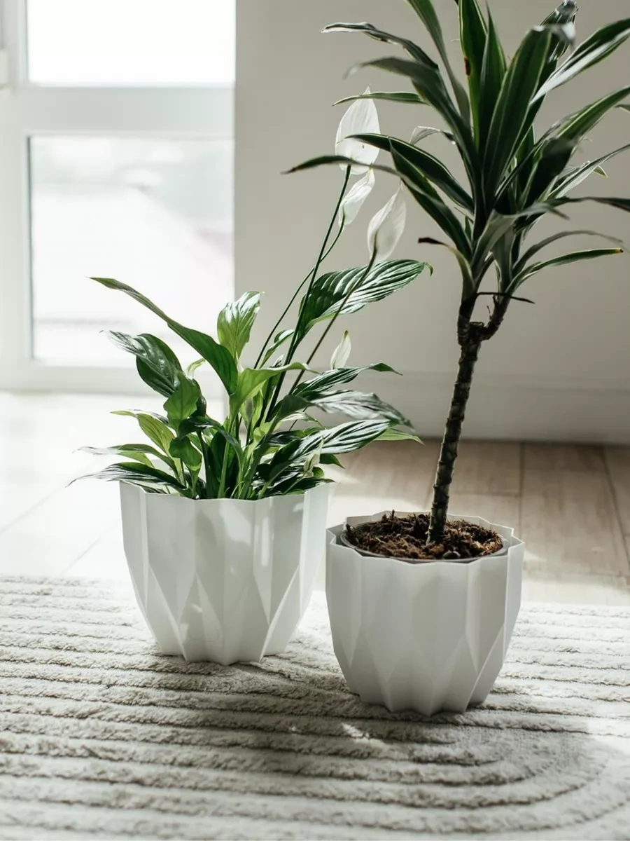 La Decoro Sukulentler İçin Saksı, Menekşe Saksıları, Kaktüs Saksısı. 238664847