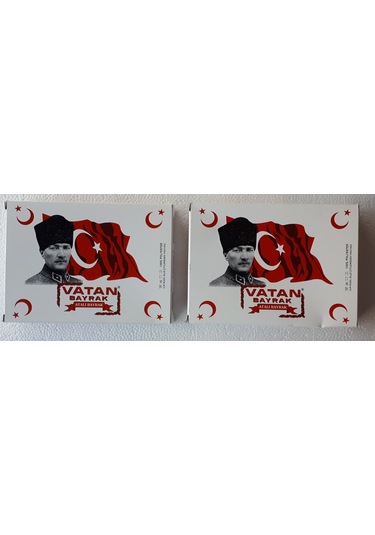 Bayrak Atatürk'lü 50 X 75CM 2 Adet +5 Mt İp