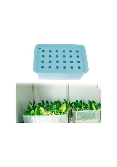 Suntek Parterre Bahçe Marul Mavisi Için 24 Site Fidanlık Mavi