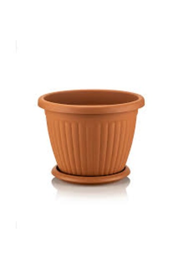 Serinova Keremit Kemer 11,5 Ltsaksı 2 Adet