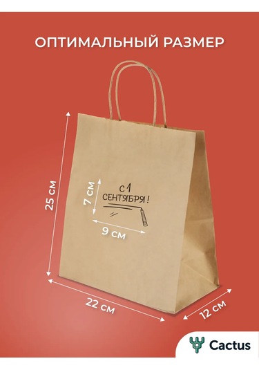 Cactus 1 Eylül İçin Süslenmiş Dekoratif Kraft Hediye Poşetleri, Kağıt 478495137