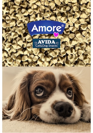 Amore Mantı Mini-dental Köpek Ödülü Chicken Bones Snacks 158 G