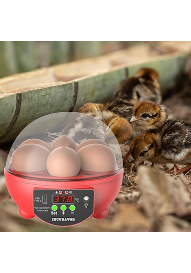 Homyl Yumurta Kuluçka Makineleri Otomatik Civciv Ördek Için