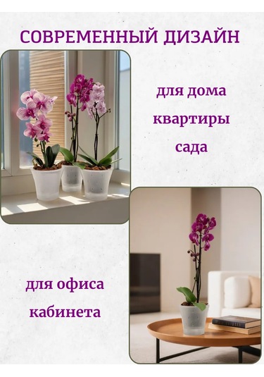 Live-in-green Orkide İçin Şeffaf Plastik Saksı Takımı 1,2l 342131428