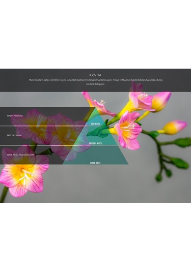 Kristal Koku Kartuşu (M5-M6)
