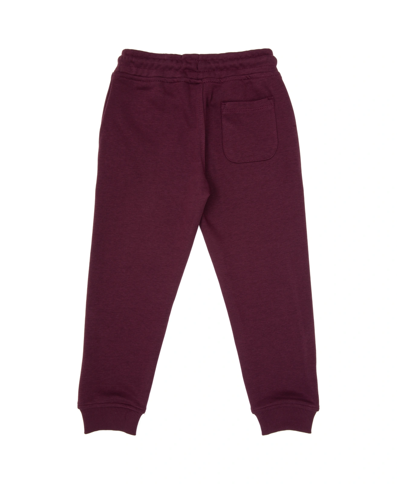 U.s. Polo Assn. Erkek Çocuk Plum Eşofman Altı 50314026-vr177 New Plum