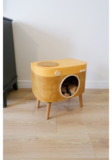 Huncar Kedi Evi Dekoratif Fotoğraf Makinesi Kedi Evi