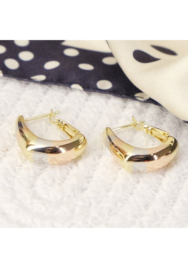 Lekka Design Üç Renk Geçişli Oval Halka Kadın Kararmaz Lüks Küpe Çok Renkli