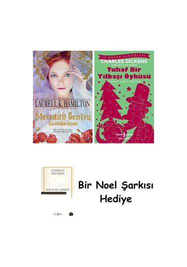 Meredith Gentry - Karanlığın İçinde + Tuhaf Bir Yılbaşı Öyküsü + Bir Noel Şarkısı